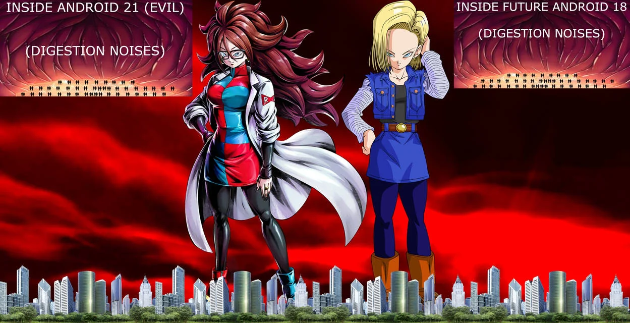 Full Face Android Race For Cac Male And Female it Android 17.Android 18 ...